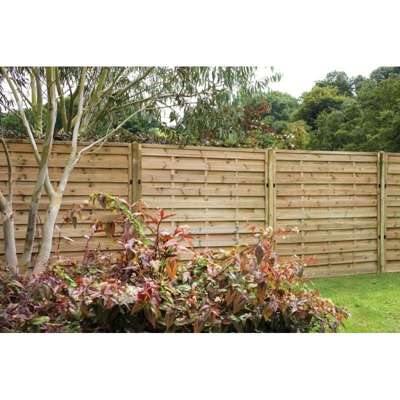 Pressure Treated Decorative Fence Panel - Europa Plain - 1800mm x 1800mm