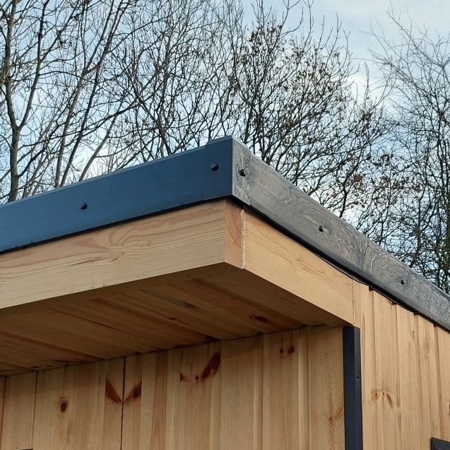 Forest Xtend Garden Building - 2500mm x 2980mm x 2900mm