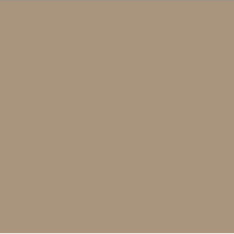 Antimicrobial PVC Hygiene Cladding Sheet - 2440mm x 1220mm x 2.5mm (8' x 4') Fawn
