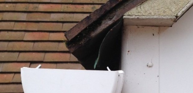 How Far Into The Gutter Should Roof Tiles Project?