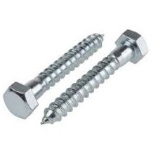 Coach Screw